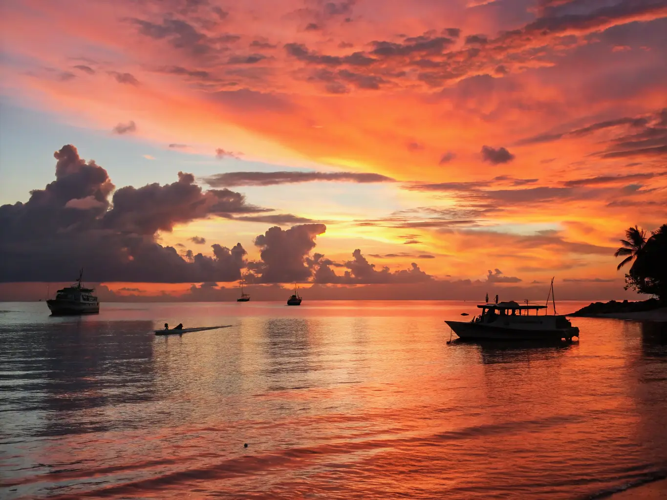 A serene photo of a sunset over the ocean in Vũng Tàu, with silhouettes of boats and palm trees in the foreground.